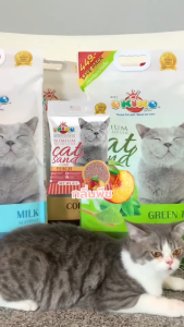 OKIKO โอกิโกะ ทรายแมวเต้าหู้ ชนิดแท่ง ผลิตจากวัตถุดิบธรรมชาติ ปราศจากฝุ่น กลิ่นพีช ขนาด 6L./20L.