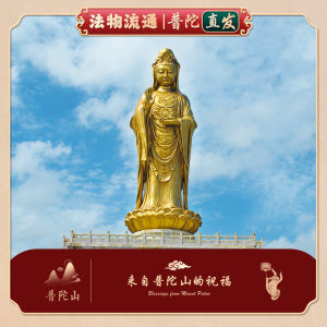 Pudao Mountain Gold Coin Keychain Fashionable Car Key Pendant Creative Gift Chinese Style Cultural Creative Keychain