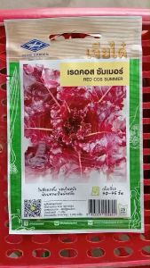 เจียไต๋ เรดคอส ซัมเมอร์ หมดอายุ 12/2568 จำนวน 1000 เมล็ด/ซอง เมล็ดพันธุ์ ผักสลัด ผักกาดหอม ลอตใหม่ งอกดี วิตามินซีสูง บรรเทาท้องผูก ระยะเก็บ 40 วัน