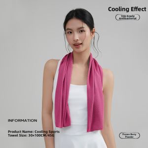 Sanli | Antibacterial Quick-dry Cooling Sports Towel For Gym