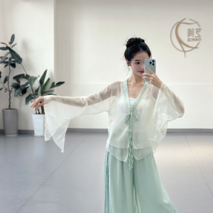 Áo Tập Khiêu Vũ Cổ Điển Áo Thun Lụa Sọc Cổ Tay Áo Vải Chiffon Trang Phục Biểu Diễn Khiêu Vũ Túi Xách Thời Trang Mùa Hè