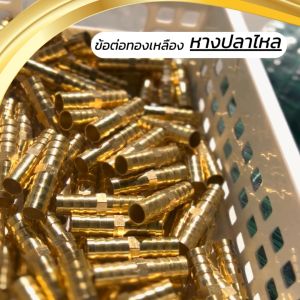 ข้อต่อตรงและข้อต่อทองเหลืองเกลียวนอกเสียบสาย ข้อต่อตรงหางปลาไหลทองเหลือง เกลียวนอกทองเหลือง1หุน-1นิ้ว/4-12มิล