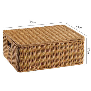 Rattan-Style European Lidded Storage Box