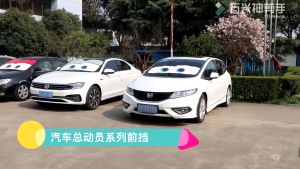 6 Colors Eyes Shape Car Sunshade: Heated Windshield Cover & Auto Sun Visor