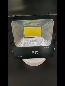 High Power LED Work Light Outdoor IP65 Waterproof Super Bright for Work Light Building Project