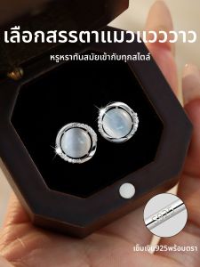 Bông Tai Nữ Bạc Đính Zircon Mắt Mèo Thiết Kế Mới Thời Trang 2026
