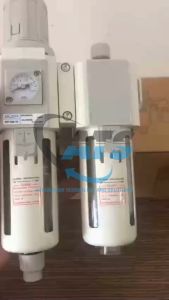 Bộ lọc đôi khí nén BLCH GFC300-10