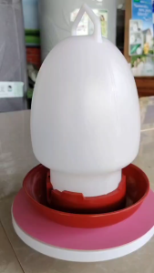 ที่ให้น้ำไก่ 4 ลิตร แบบเเขวน  มีสีแดง สีฟ้า สีเขียว สีเหลือง  วัสดุทนทานแข็งแรง ความจุขนาดใหญ่สำหรับการเก็บน้ำ ทำความสะอาดและบำรุงรักษาง่าย ถังน้ำไก่ ขวดน้ำไก่ ถ้วยให้อาหารไก่