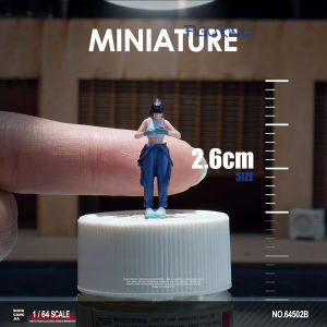 Painted Static Miniature Figure Model 1:64
