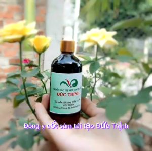 Serum Tái Tạo Da Nhân Sâm ĐT sạch mụn nám tàn nhang giảm mụn rỗ nám tàn nhang da không đều màuSe khít lỗ chân lông Tái tạo da phục hồi da hư tổn giúp da trắng hồng rạng rỡ