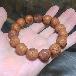 Rare 16mm+ aged natural Nepal "Dragon Eye" Bodhi (Bodhichitta Bodhi) bracelet [Natural unprocessed]