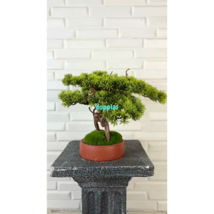 Pohon Artificial Tanaman Hias Bonsai Cemara Pot Tanah Liat Mini Dekorasi Rumah Pajangan Meja Ruang Tamu