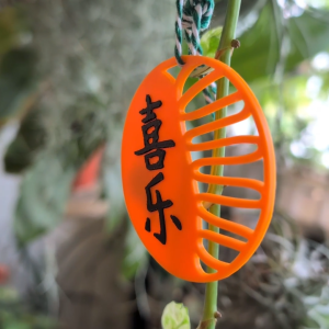 🇸🇬 Christian CNY Decorations Fruit of the Spirit - 🎉 Unique 3D Printed Festive Season Decorations