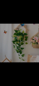 Artificial Flower Wall Hanging Plant Artificial Plant Hanging Wall Decor with Fairy Light Rustic Cottage Cascade Round Frame Greenery Floral Wall Mounted Decoration for Home Bedroom Living Room Cafe Office Event Wedding Indoor Outdoor Party Decor