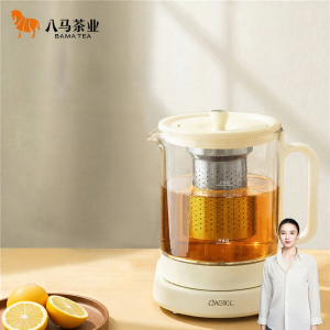 BAMA TEA | Multifunctional Titanium Tea Kettle 900mL