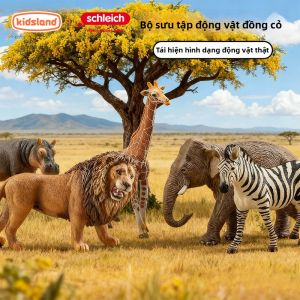 Schleich | African Wildlife Collectible Realistic Simulation Models For Children