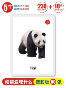 Animal What Eats What Cards Autism Recovery Training Children Rehabilitation ABA Teaching Tools Language Development Delayed