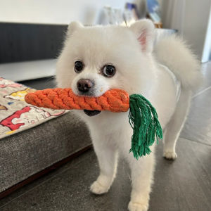 Interactive Dog Toy Rope Knot Carrot Teeth Grinding Resistant Biting Small Dogs Teddy Pomeranian Pet Supplies Amor Brand