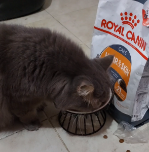 Royal Canin Hair & Skin Care 10kg Adult Dry Cat Food | Feline Care Nutrition for Shiny Coat & Healthy Skin | Formulated with Omega 3 & 6 Fatty Acids and Urinary Health Support [New Stock]