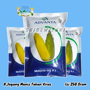 BIBIT BENIH JAGUNG MANIS TAHAN VIRUS MADU 59 F1 ISI 250 GRAM ADVANTA