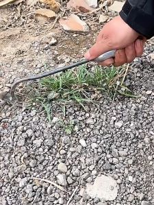 คราด เครื่องมือดึงวัชพืช คราดหญ้า หัวคู่จอบขุดดิน 4ฟัน ขุดหญ้า ขุดดิน ทำจากเหล็กแข็ง คราด เครื่องมือคราดมือ 30/40/50cm