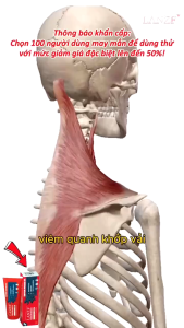 Gel Massage Thảo Mộc LANZF 120g – Dạng Gel Mát Dịu Hỗ Trợ Giảm Nhức Mỏi Cơ Khớp