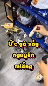 Ức Gà Sấy Nguyên Miếng Loại 1 Dành Cho Cún Mèo