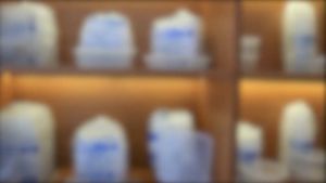 Mitra Loka 25 Pcs Thinwall 1500ml Kotak Food Container Libra