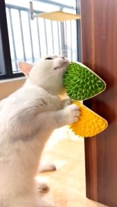 Corner Massage Durian Shaped Self Groomer Catnip Comb Toy / Tickling Comb with Catnip