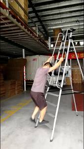 MOLORE | Sturdy Portable Multi-Function Folding Step Ladder