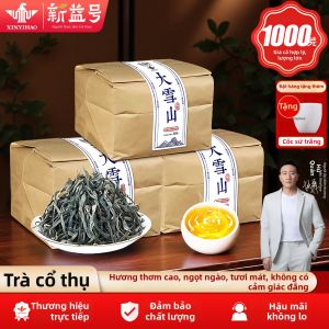 XINYIHAO | Genuine Ancient Tree Spring Puerh Raw Tea Fresh Drink