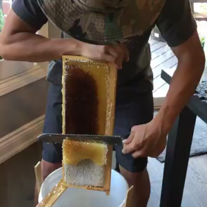 Pisau lebah pengerik kerik Propolis Kerak Sarang Lebah / Alat Pembersih sarang lebah