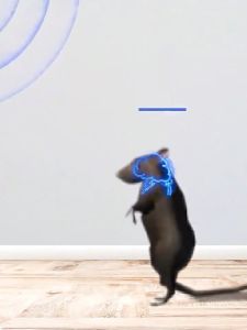 ✅2025 รุ่นใหม่ล่าสุด+ฟรีกาวดักหนู✅เครื่องไล่หนู ไล่แมลงอัลตราโซนิกรอบทิศทาง ไล่หนู ปกป้องสุขภาพของครอบครัว เครื่องไล่ยุง ที่ไล่หนูไฟฟ้า นอกจากหนูแล้ว กำจัดกิ้งก่าแมลงวัน ตุ๊กแก แมลงสาบ รับรองว่าเห็นผล กำจัดหนูในบ้าน เครื่องไล่หนูsonic เครื่องไล่หนูไฟฟ้า