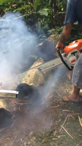 20/22/24 Inches Chainsaw Original Gasoline Chain saw Mini Portable Chainsaw Steel Power Saw Tool