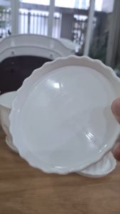 Bộ 05/10 Đĩa Lót Chậu Tròn Nhỏ 11cm Màu Trắng Nhựa Dày