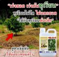 ยูเรียน้ำสูตรเข้มข้น สูตรอินทรีย์ชีวภาพ ไม่มีสารเคมี ไม่มีสารพิษ ไม่ใช่ปุ๋ยเคมี ขนาด 1 ลิตร. 