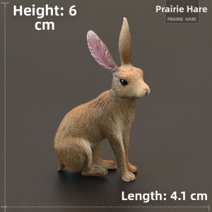 MENGSILE | Realistic Educational Animal Model Childrens Gifts