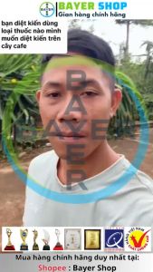 [Combo 10] REGENT NOKORTHOM (gói 1.6gr) Nguyên Liệu Nhập - Chế phẩm diệt côn trùng đa năng NOKORTHOM diệt sạch kiến gián bọ chét mạc gà sâ.u kháng