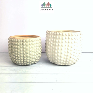 The Leaferie Nicoya Flowerpot . flowerpots . flower pot . plant pots . planter . planters . Ceramic . Plants