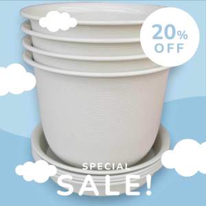 ลดราคา50% ‼️✅️SET4ใบแถมจานรอง4ใบ✅️ กระถางกลมเกลียวกระถางญาญ่าขนาดกว้าง10นิ้วสูง8นิ้ว