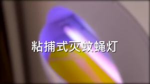 Housefly Trap UV light Tubes T5 T8 6W 8W 10W 15W Mosquito Killer Lamp 365nm Ultraviolet Blue Light Insect Bug Control