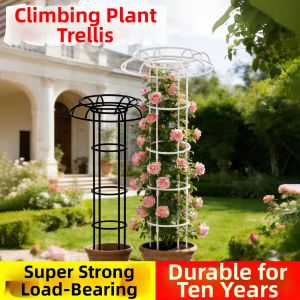 Climbing Plant Support Trellis