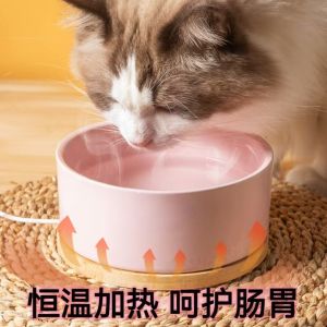 Cat Constant Temperature Water Feeder: A Comprehensive Guide