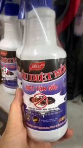 Dung Dịch Xịt Diệt Mối Mọt Tận Gốc SIFA 500ml Mẫu Mới Nguồn Gốc Thảo Mộc Diệt Chống Mối Mọt Gỗ Tủ Bếp Sàn Gỗ Đồ Gia Dụng