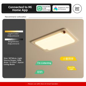 Modern Simple Rectangular LED Ceiling Light