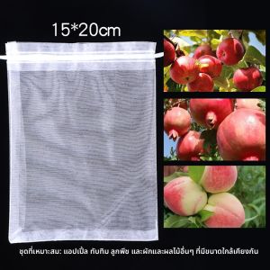 ถุงคลุมผลไม้ป้องกันแมลงและผีเสื้อสำหรับพุ่มผลไม้ ถุงคลุมต้นแอปเปิ้ล ถุงคลุมผลไม้ ถุงคลุมพุ่มผลไม้ ปกป้องพืช