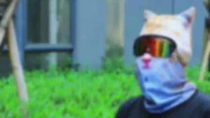 3D Cat Animal Ski Balaclava Ski Mask with EarsSuitable for Music FestivalsRavesSkiHalloween or Party Outdoor