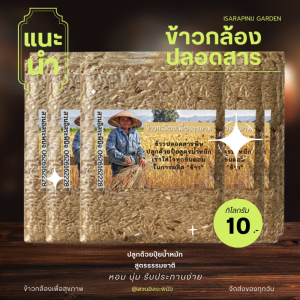 ข้าวกล้อง ปลอดสาร แพ็คสูญญากาศ 1 กิโลกรัม (แพ็ค10) ตรา สวนอิสระพินิจ คัดพิเศษ