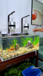 1.7m ที่ดูดขี้ปลา อุปกรณ์ทำความสะอาดตู้ปลา กาลักน้ำดูดน้ำ เครื่องเปลี่ยนน้ำตู้ปลา