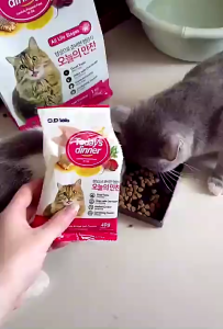 [HỎA TỐC ] [5KG ] Todays dinner All Life Stage - Thức ăn hạt dinh dưỡng cho mèo mọi lứa tuổi